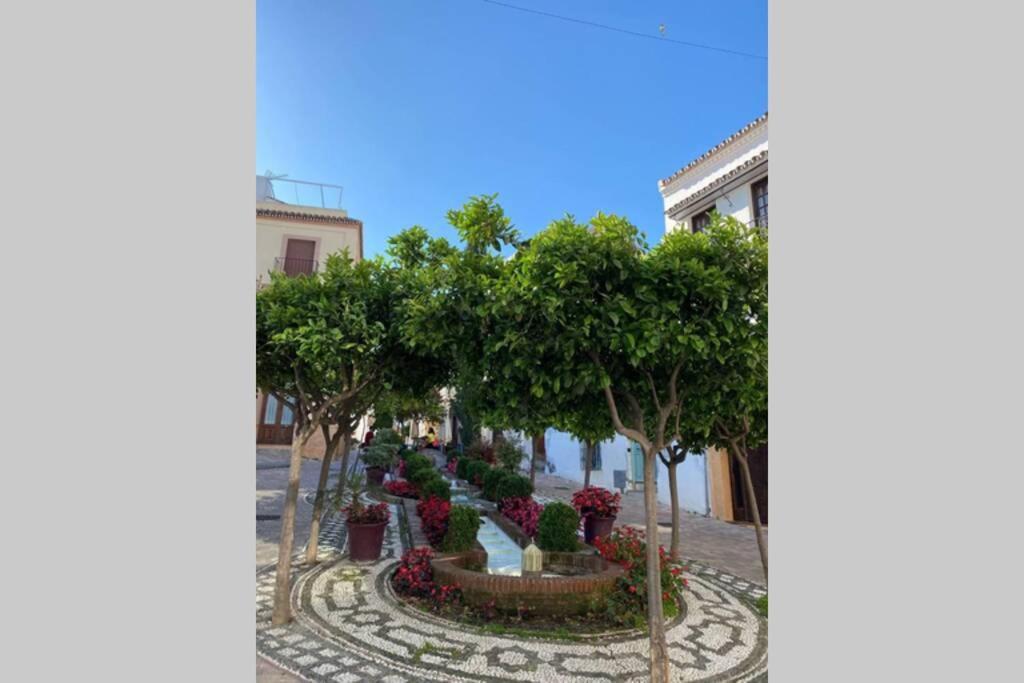 Estepona Seaview Apartment Seletur מראה חיצוני תמונה